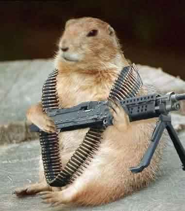 [Image: groundhog.bmp]